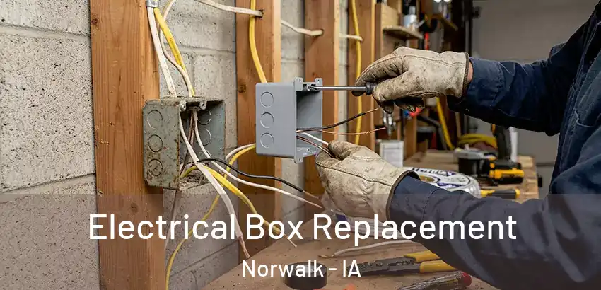Electrical Box Replacement Norwalk - IA